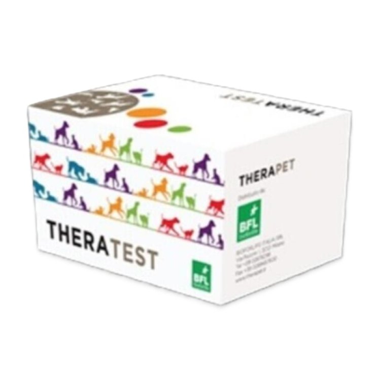 Theratest Fiv/Felv Bioforlife 10 Test