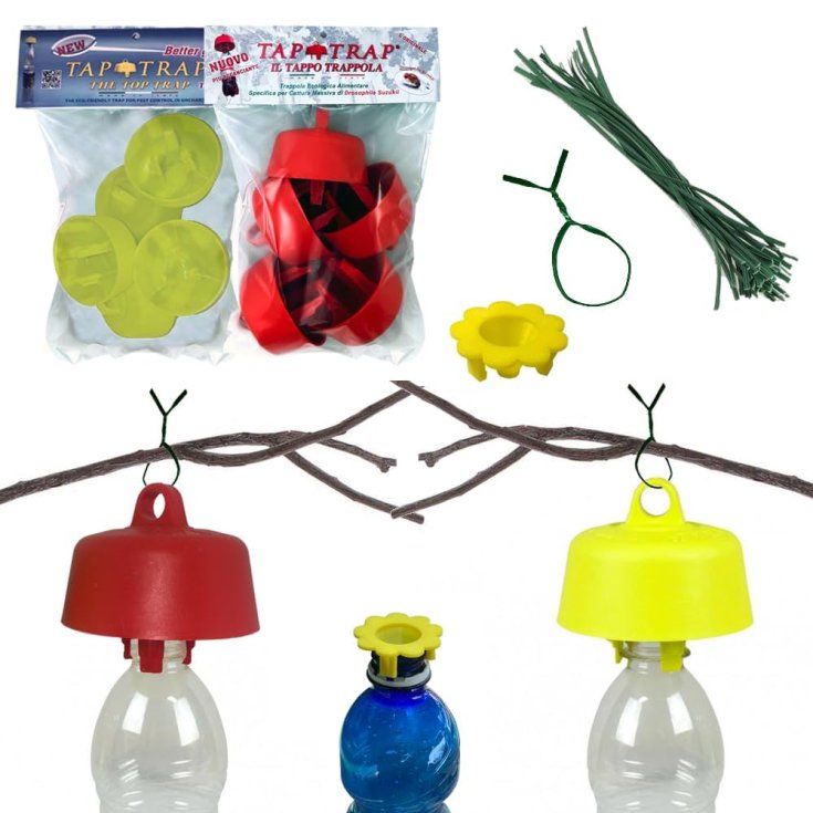 Tappo Trappola Giallo O Rosso Tap Trap 5 Pezzi