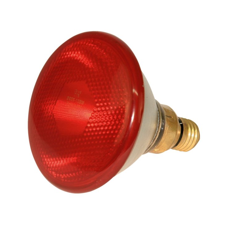 Lampada Infrarossi 250W KERBL 1 Pezzo