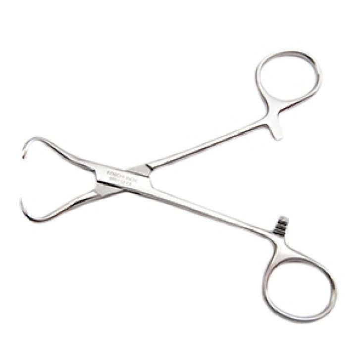 Pinza Fissateli Backhaus 10cm Foschi
