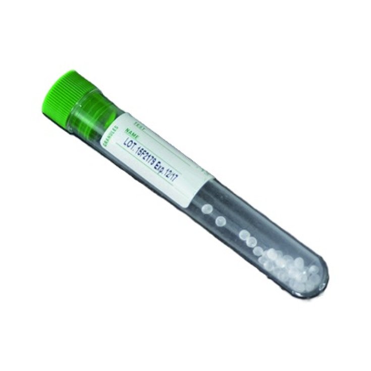 Provetta 5ml con Granuli Separatori 50 Pezzi