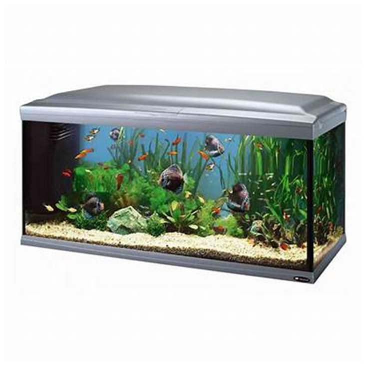CAYMAN 110 SCENIC SILVER con T5 Ferplast 1 Pezzo
