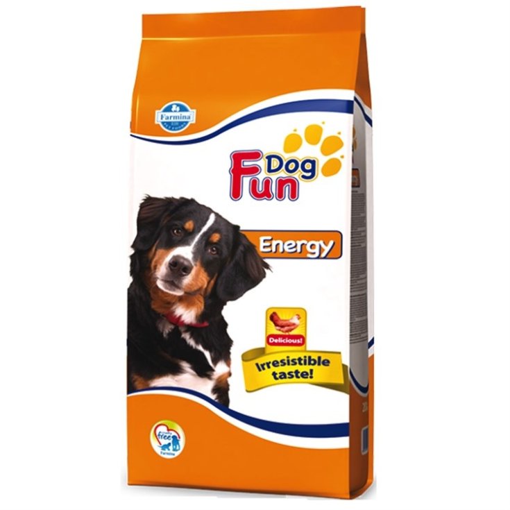Fun Dog Energy 20Kg