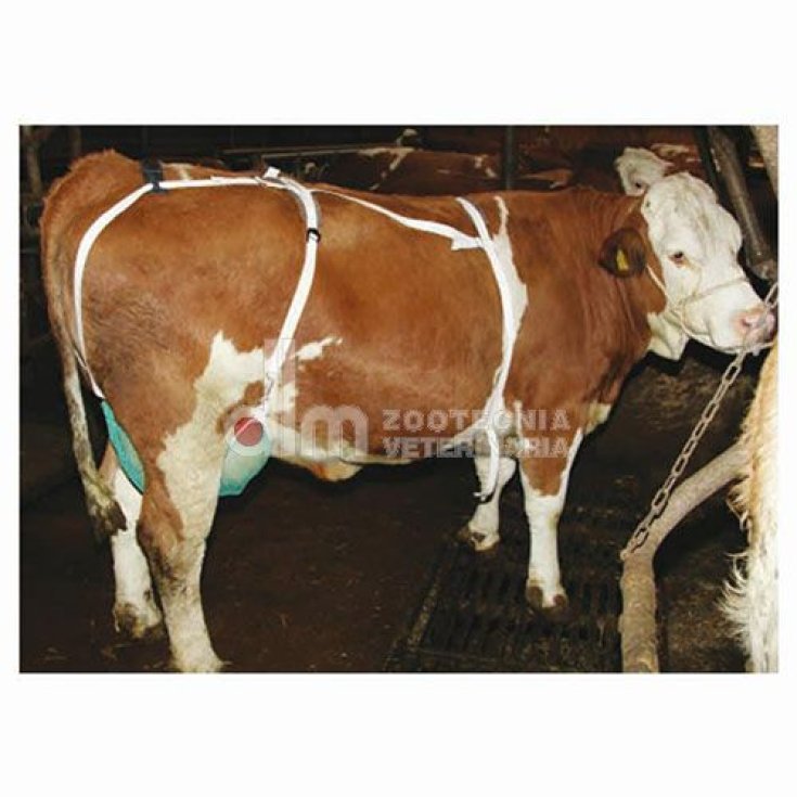 Reggimammella Tg.M DLM Zootecnica Veterinaria