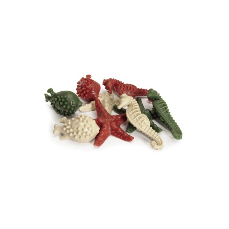 SeaVeg S Stella 7,5cm Camon 1 Pezzo