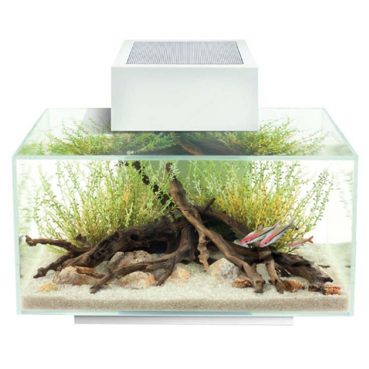 Acquario Fluval Edge 2.0 Led E Luce Lunare 23lt White Askoll Pezzo Singolo