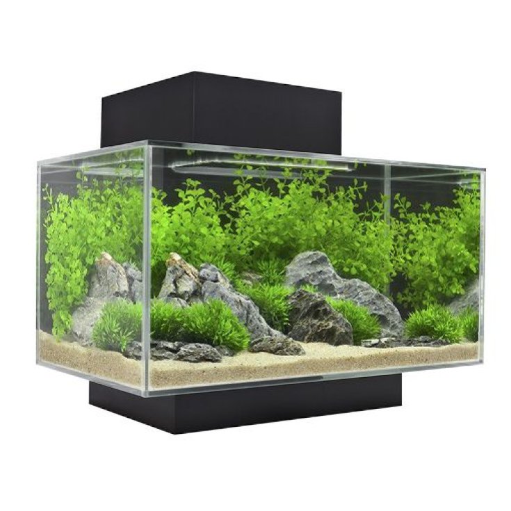 Edge 2.0 23 L Black New Fluval