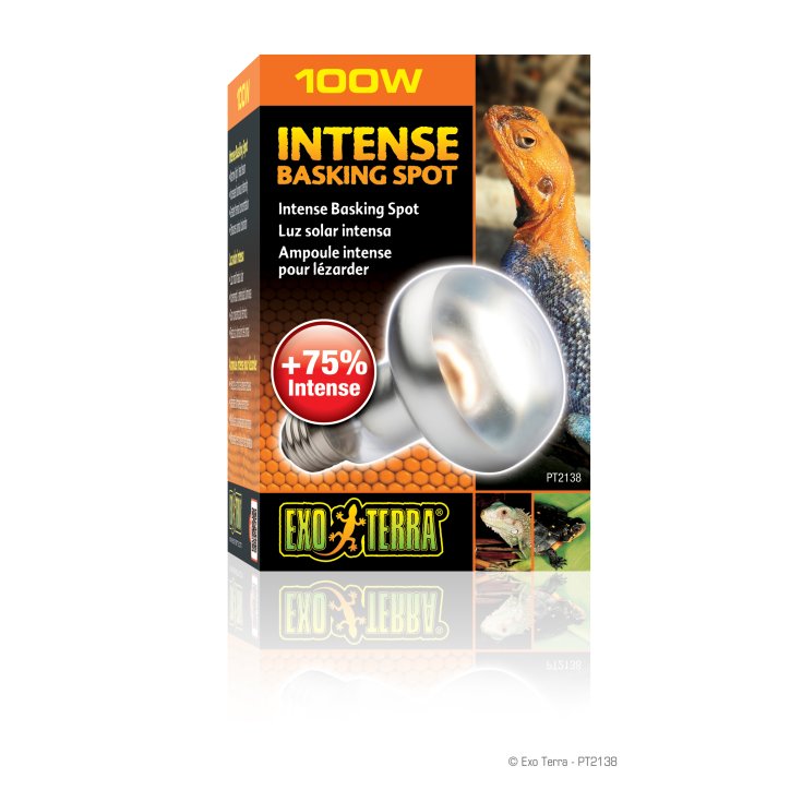 Intense Basking Spot Lamp Pt2138 S20/100W Exo-Terra 1 Pezzo