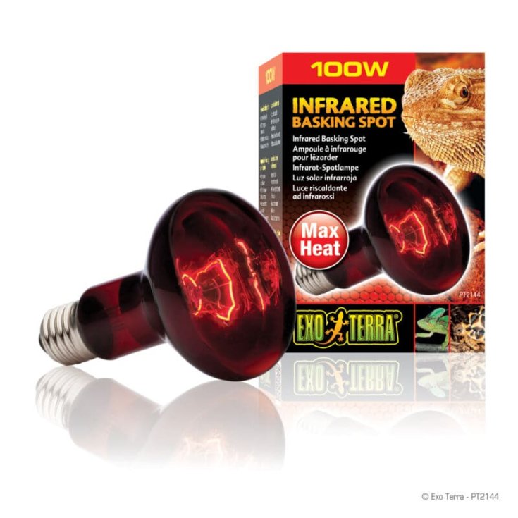 Lamp R25W/10.0 Infrared Pt2144 Exo Terra 1 Pezzo