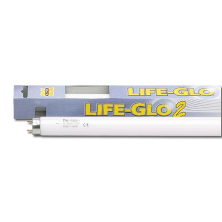 Lampada a neon Life Glo T8 40W 1200mm