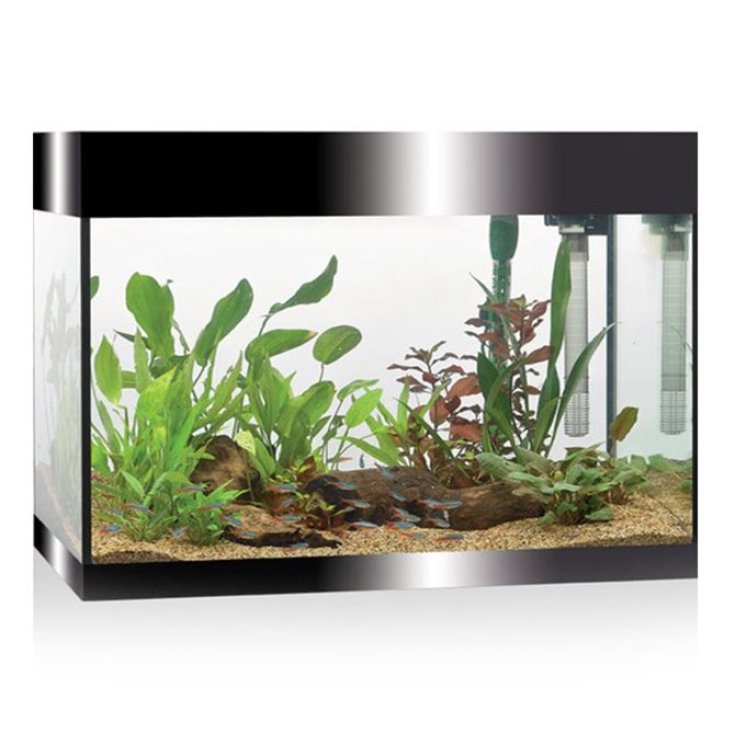 Pure Kit L Led Black Askoll 1 Kit