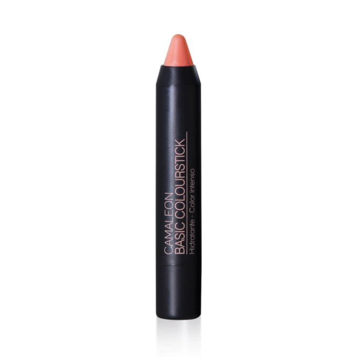 Basic Colourstick Nude Camaleon 4g