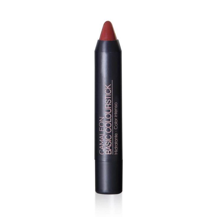 Basic Colourstick Terra Camaleon 4g