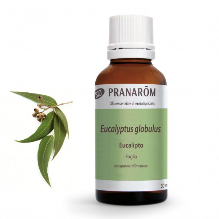 Pranarom OE Eucalyptus Globulus 30ml