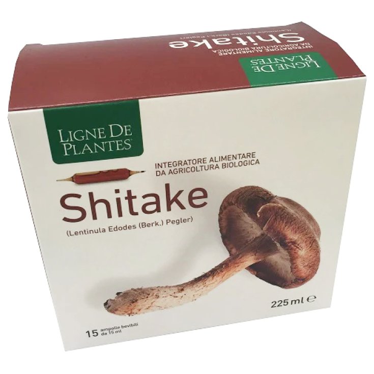 Ligne de Plantes&reg; Shitake Bio Natura Service 15 Ampolle 15ml