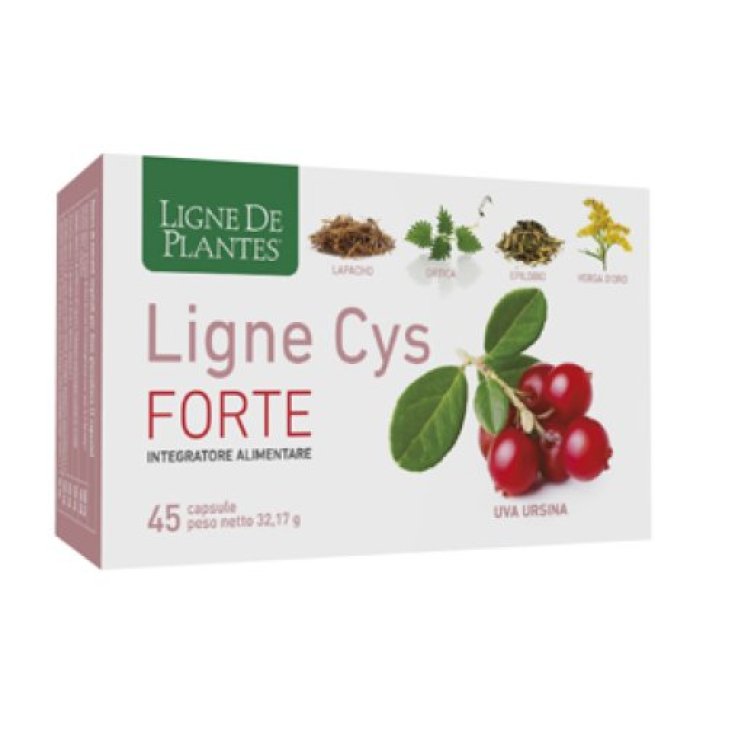 Ligne Cys&nbsp;FORTE Ligne De Plantes 45 Capsule