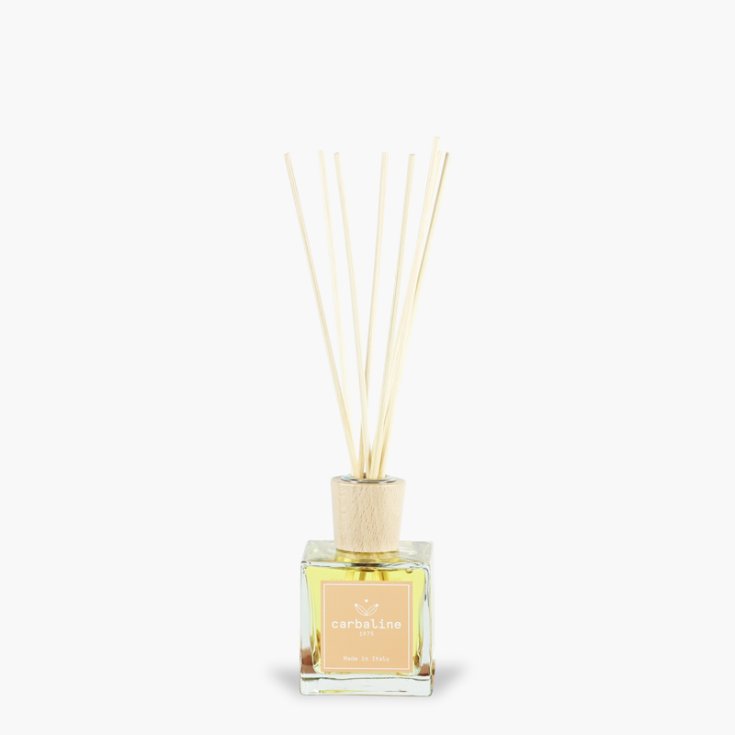 Diffusore Per Ambiente Verbena & Vaniglia Carbaline 100ml