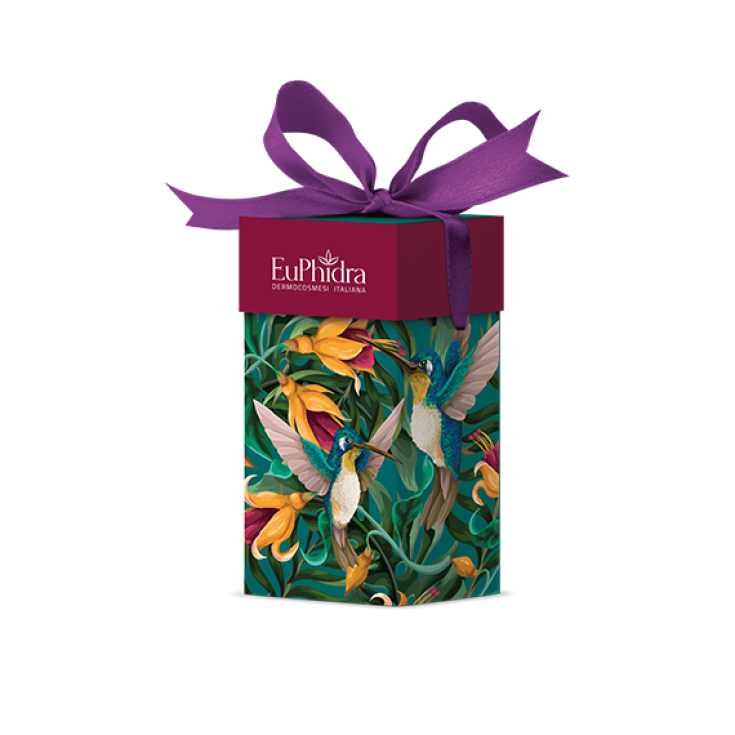 Bordeaux Royale EuPhidra 2 Pezzi