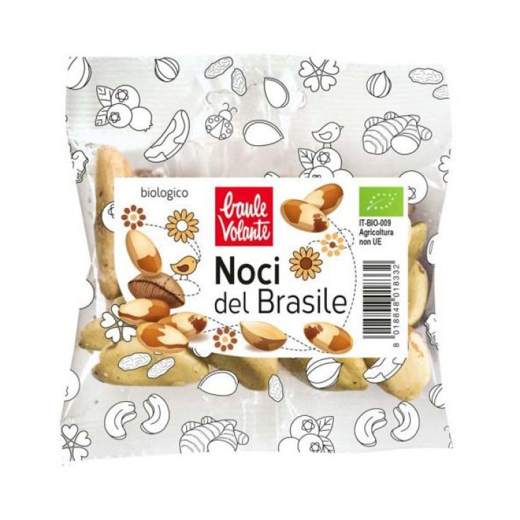 Noci Del Brasile Baule Volante 35g