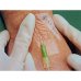 Tegaderm Film&nbsp;6x7cm Medicazione Trasparente 3M 100 Pezzi