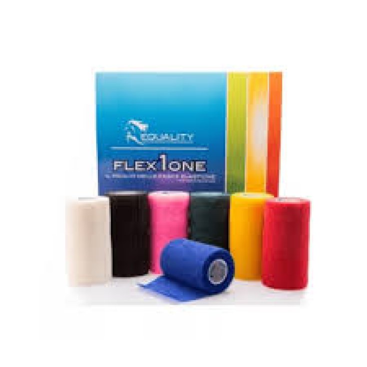 Flex-1-One Fascia 10cm x 4,5m Blu