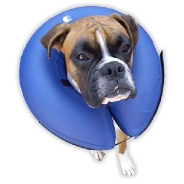 Procollar collare gonfiabile blu - Taglia L - &oslash; int, 16 cm | &oslash; est, 30,5 cm