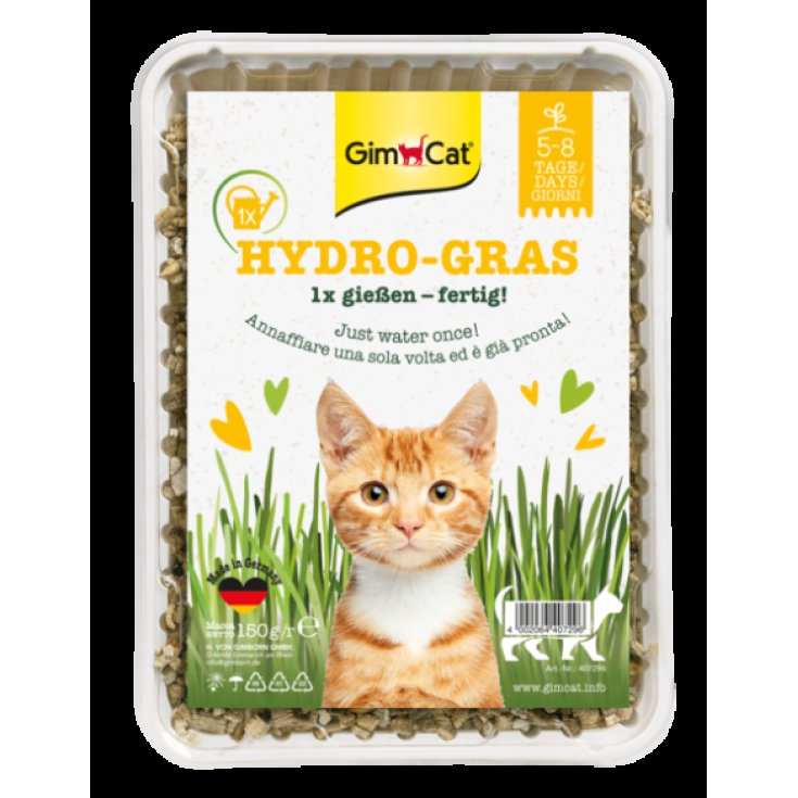 Erba Gatto Hydro Gras Gimcat 150g