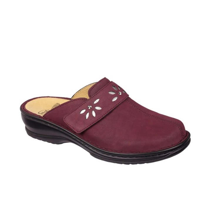 Theodora Wine Tg.35 Scholl
