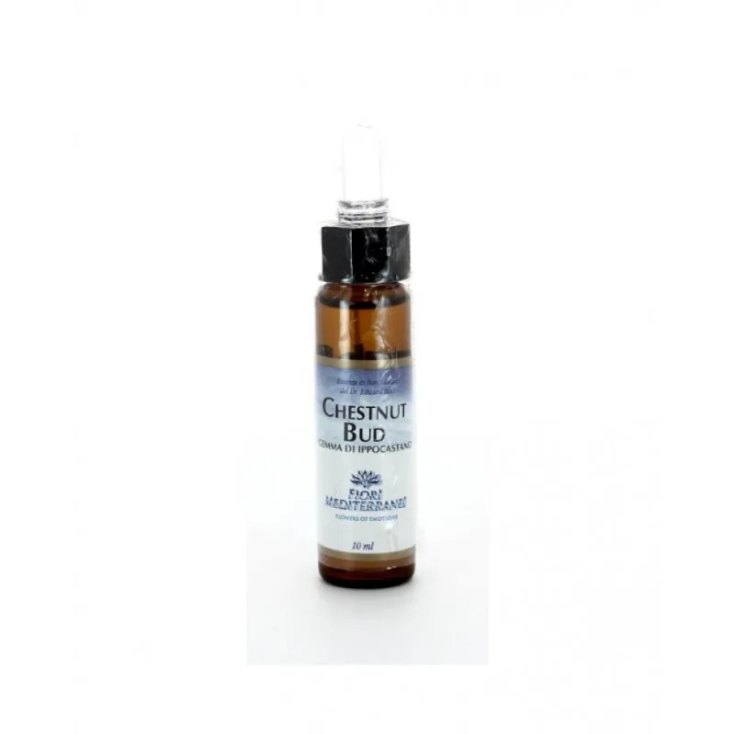 Chestnut Bud Fiori Mediterranei Fiori di Bach Forza Vitale 10ml