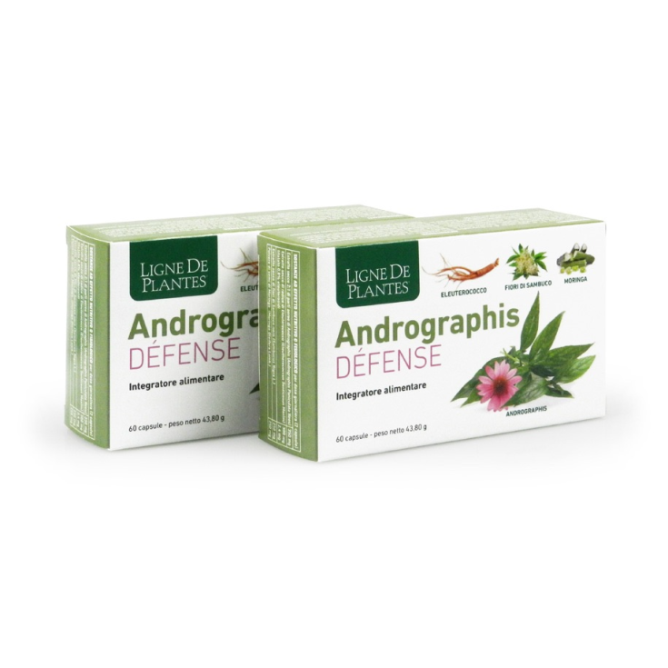 Andrographis D&eacute;fense&nbsp;Ligne De Plantes 60 Capsule