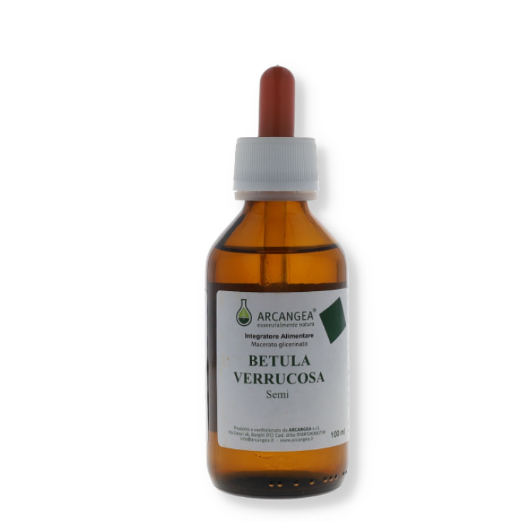 Betula Verrucosa Semi 33 Arcangea 100ml