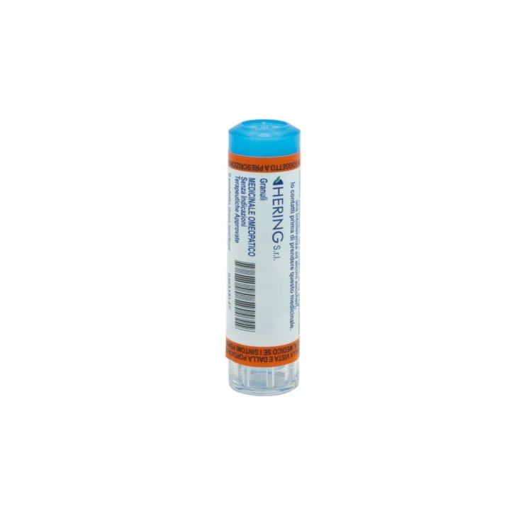 Hyoscyamus Niger 30CH&nbsp;Hering 80 Granuli 4g