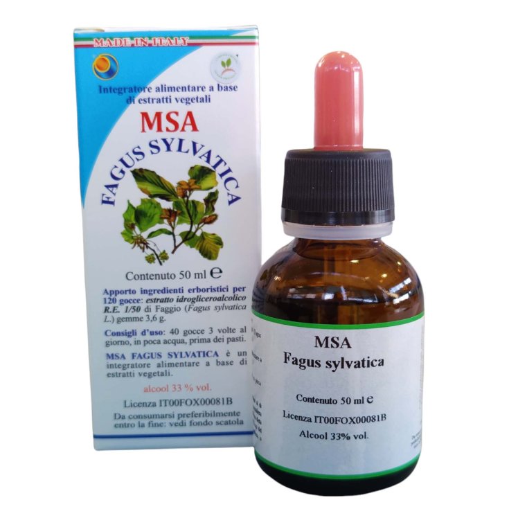 MSA Fagus Sylvatica Herboplanet&reg; 50ml