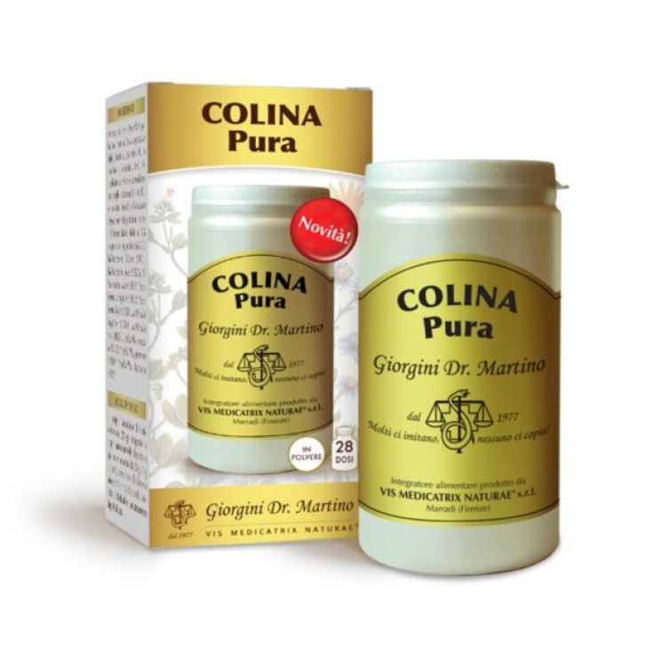COLINA Pura Polvere Solubile Dr.Giorgini 100g COLINA Pura Polvere Solubile Dr.Giorgini 100g