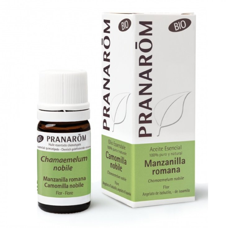 Camomilla Nobile OE&nbsp;PRANAR&Otilde;M 5ml