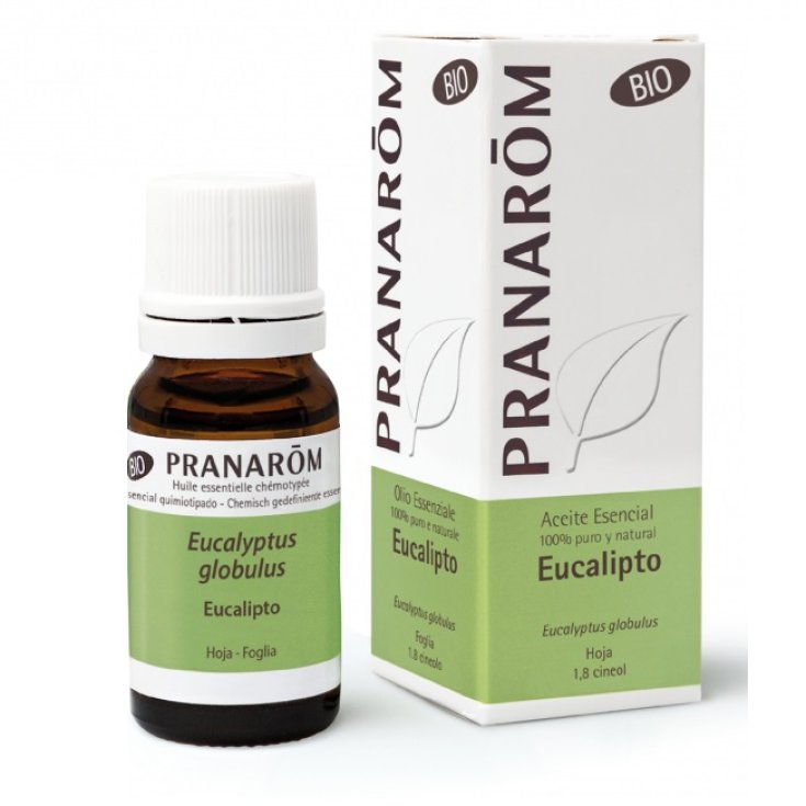 Eucalipto OE PRANAR&Otilde;M 10ml