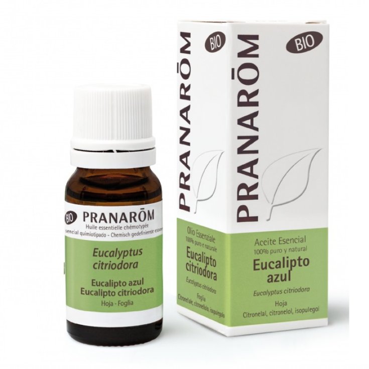 Eucalipto Citriodora OE&nbsp;PRANAR&Otilde;M 10ml