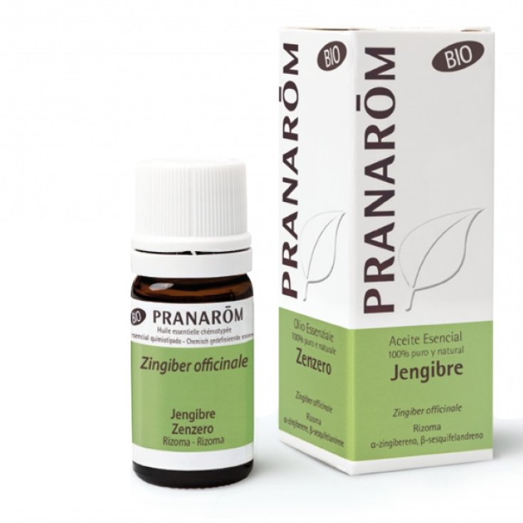 Zenzero Rizoma OE Bio&nbsp;PRANAR&Otilde;M 5ml