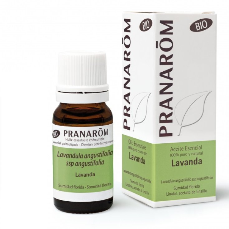 Lavanda Officinale OE Bio&nbsp;PRANAR&Otilde;M 10ml