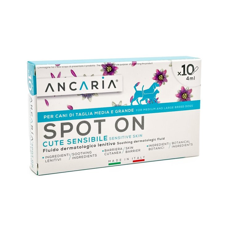 Spot-On Cani Taglia Medio Grande Ancaria&reg; 10 Pipette x 4ml