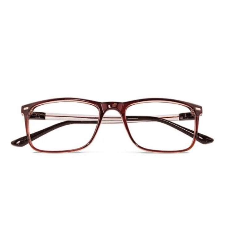 Occhiali da Lettura DIONISO Marrone&nbsp;+2,00 Twins Gold