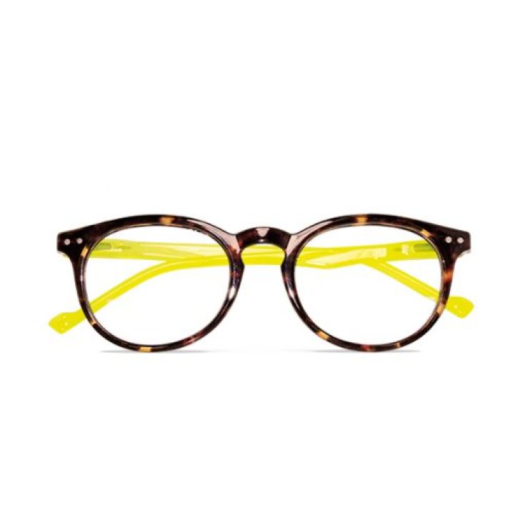 Occhiali da Lettura MARTE Giallo-Demi&nbsp;+1,50 Twins Gold