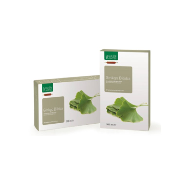 Ginkgo Biloba BIO 20 Ampolle