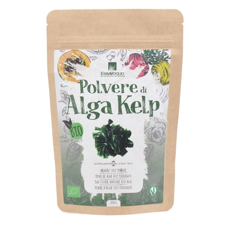 Alga Kelp Polvere BIO 250g