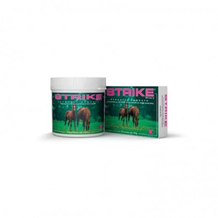 Strike Sospensione Orale Granulato Acme 1000g