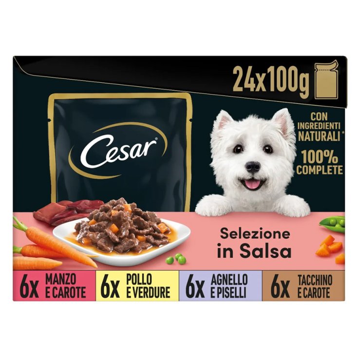 Selezione in Salsa Cesar&reg; 24x100g