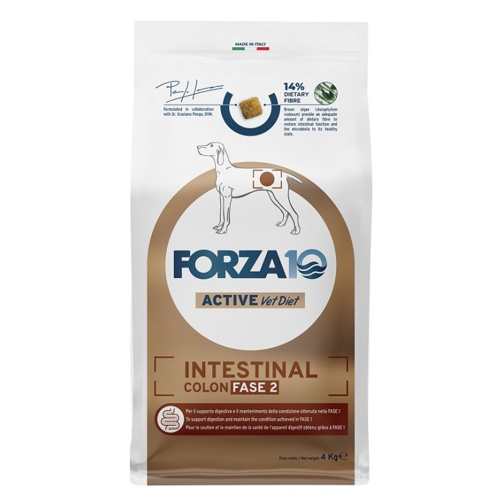 Intestinal Colon Fase 2 Forza 10 Active Vet Diet 4kg