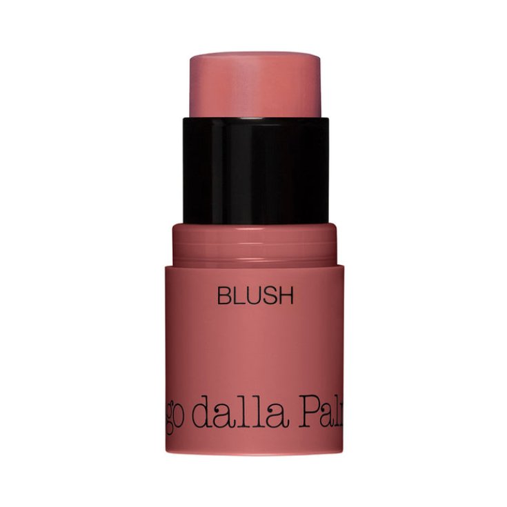 All In One Blush 43 Diego Dalla Palma 4g