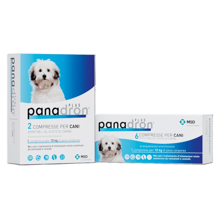 Panadron Plus 104 Compresse