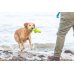 Aqua Toy MOT&reg; TriXie 29cm
